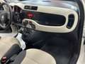 Fiat Panda Panda 0.9 TwinAir Turbo Natural Power Easy Beige - thumbnail 10