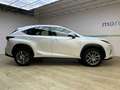 Lexus NX 300 2.5 Hybrid 2WD Business Bianco - thumbnail 4