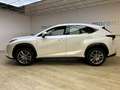 Lexus NX 300 2.5 Hybrid 2WD Business Bianco - thumbnail 3