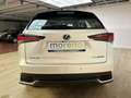 Lexus NX 300 2.5 Hybrid 2WD Business Bianco - thumbnail 6