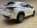 Lexus NX 300 2.5 Hybrid 2WD Business Bianco - thumbnail 2