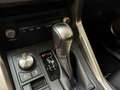 Lexus NX 300 2.5 Hybrid 2WD Business Bianco - thumbnail 13
