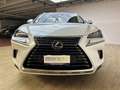 Lexus NX 300 2.5 Hybrid 2WD Business Bianco - thumbnail 5