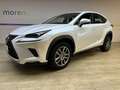 Lexus NX 300 2.5 Hybrid 2WD Business Bianco - thumbnail 1