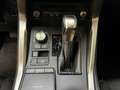 Lexus NX 300 2.5 Hybrid 2WD Business Bianco - thumbnail 12
