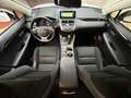 Lexus NX 300 2.5 Hybrid 2WD Business Bianco - thumbnail 7