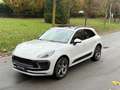 Porsche Macan 2.0 UNICO PROPRIETARIO Grau - thumbnail 10