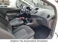 Ford Fiesta 1.25 Ambiente"1.Hand"Lückenlos S-Heft"Allwetter Weiß - thumbnail 5