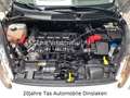 Ford Fiesta 1.25 Ambiente"1.Hand"Lückenlos S-Heft"Allwetter Weiß - thumbnail 13