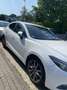 Mazda 3 SKYACTIV-G 120 kizoku 2017 Weiß - thumbnail 5