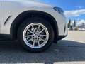 BMW X3 xDrive20d Weiß - thumbnail 6