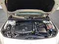 Mercedes-Benz CLA 220 d Bi-Xenon/Exklusiv-Paket/Leder/Tempo Weiß - thumbnail 25