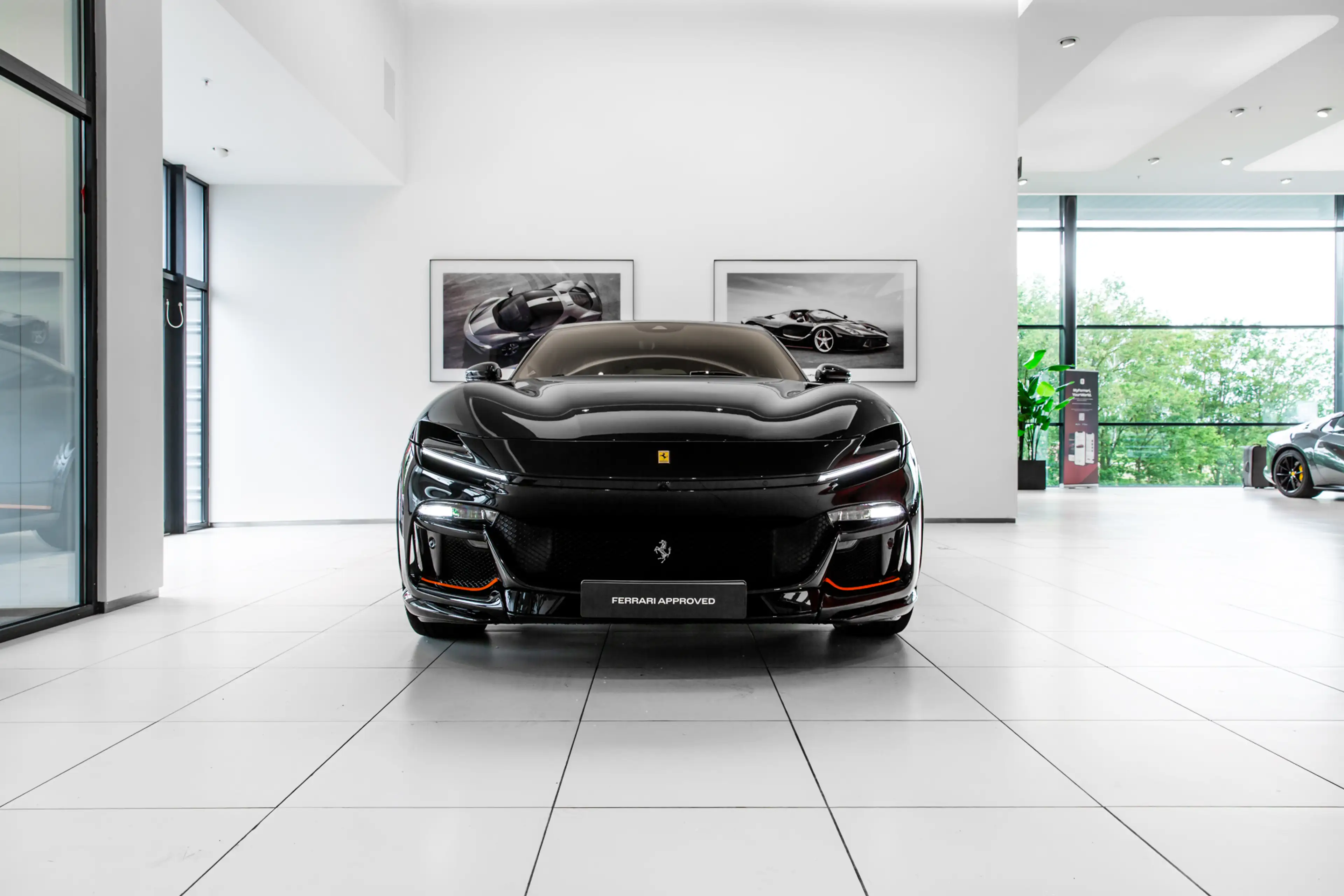 Ferrari Purosangue ~Ferrari Munsterhuis~ — photo 22