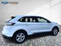 Ford Edge Titanium Navi Kamera Glasdach Voll-LED Белый - thumbnail 16