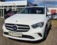 Mercedes-Benz B 160 B 160 CLIMATR T-LEDER SHZ 1.HD KOMPLETT SCHECKHEFT Blanc - thumbnail 15