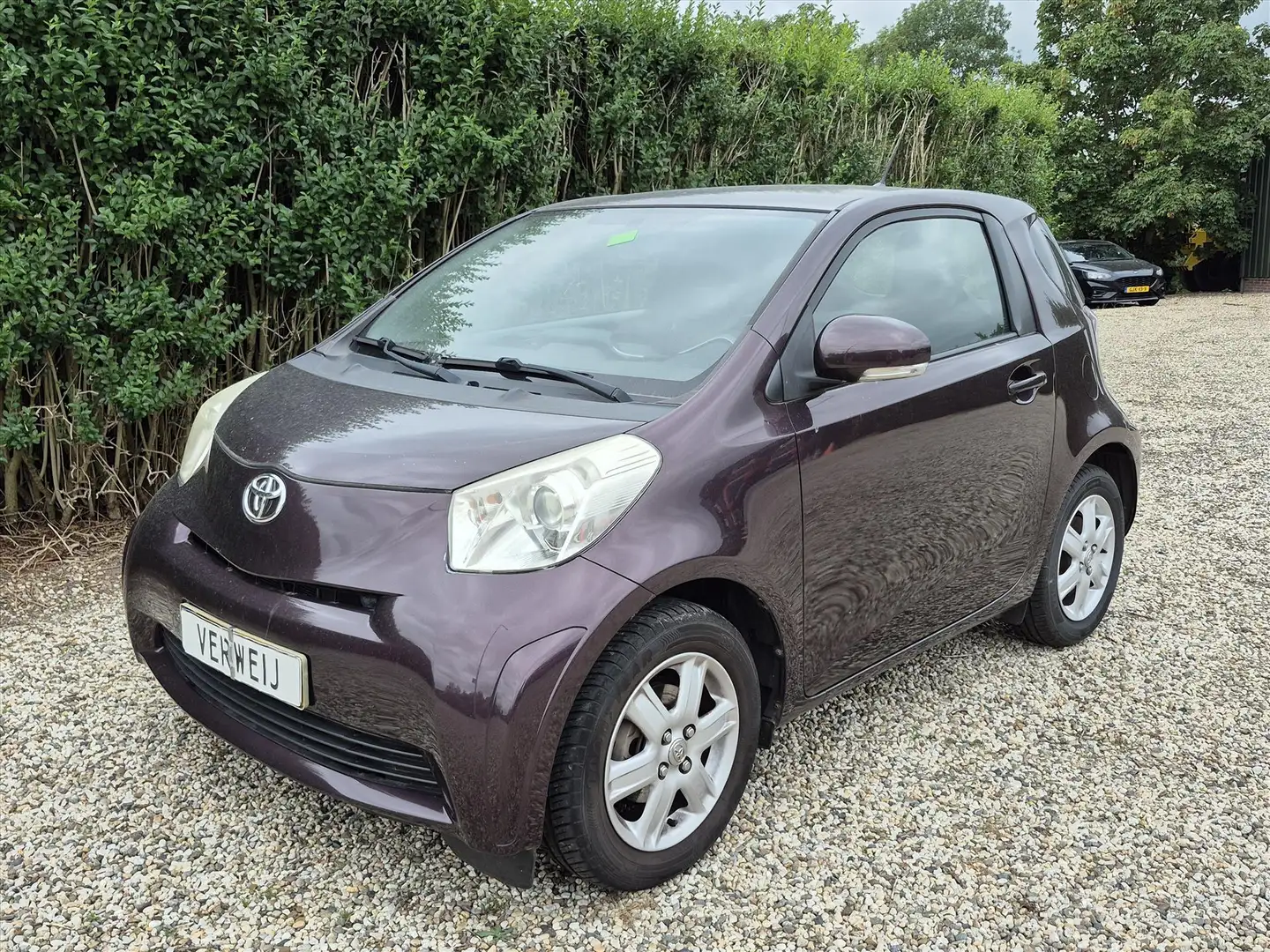 Toyota iQ 1.0 VVT-i 68pk | Airco | Elek. Pakket | CV | LM Ve Paars - 1