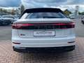 Audi Q8 50TDI S-Line AHK+ACC+Head-Up+Pano+Standhzg Weiß - thumbnail 5