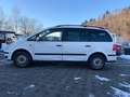 Volkswagen Sharan Trendline 7-SITZER*HU bis 03/2027* Weiß - thumbnail 5
