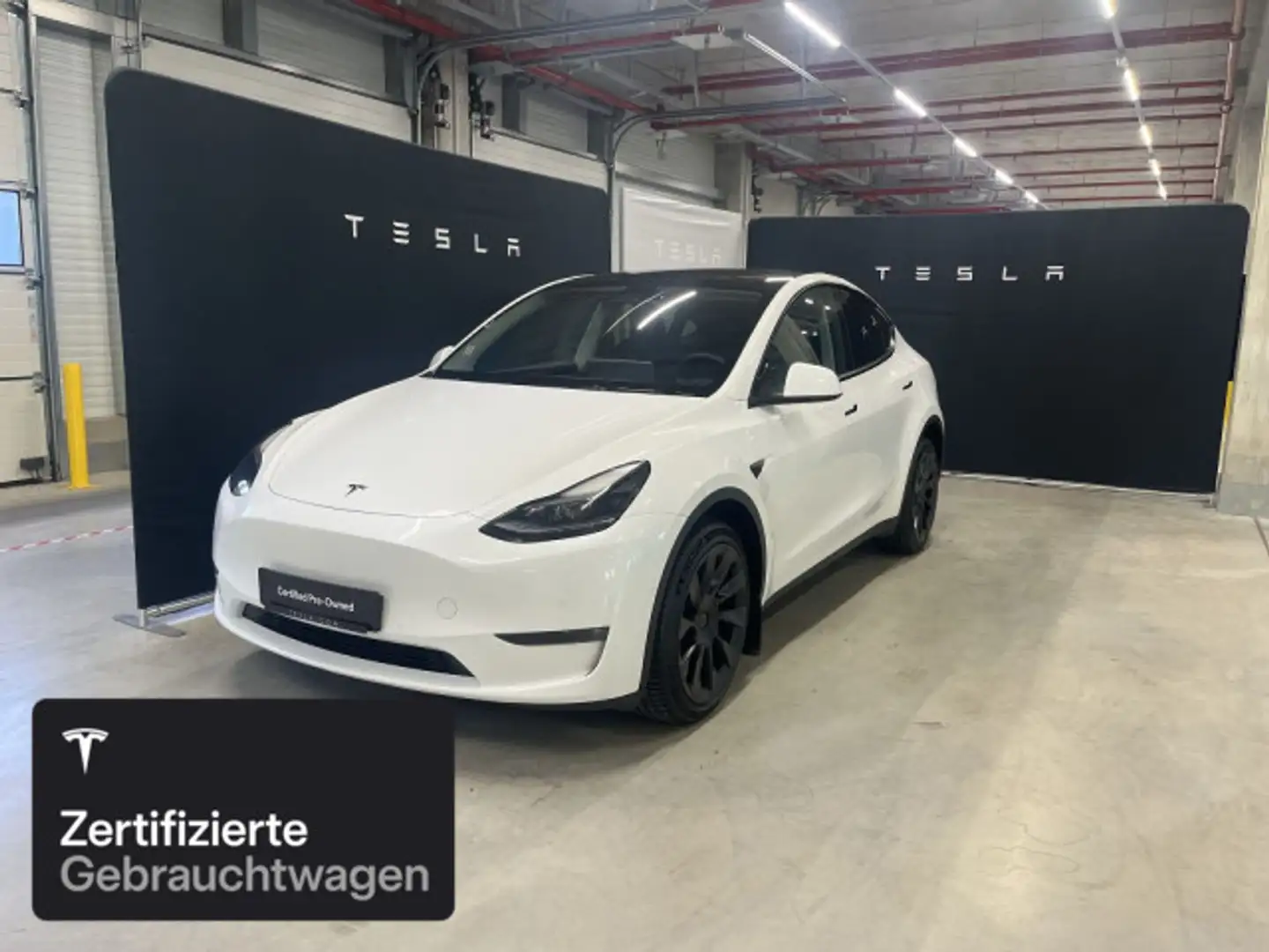 Tesla Model Y Long Range AWD Blanc - 2