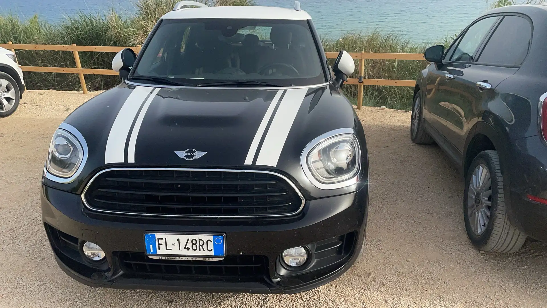 MINI Countryman D jungle - 1