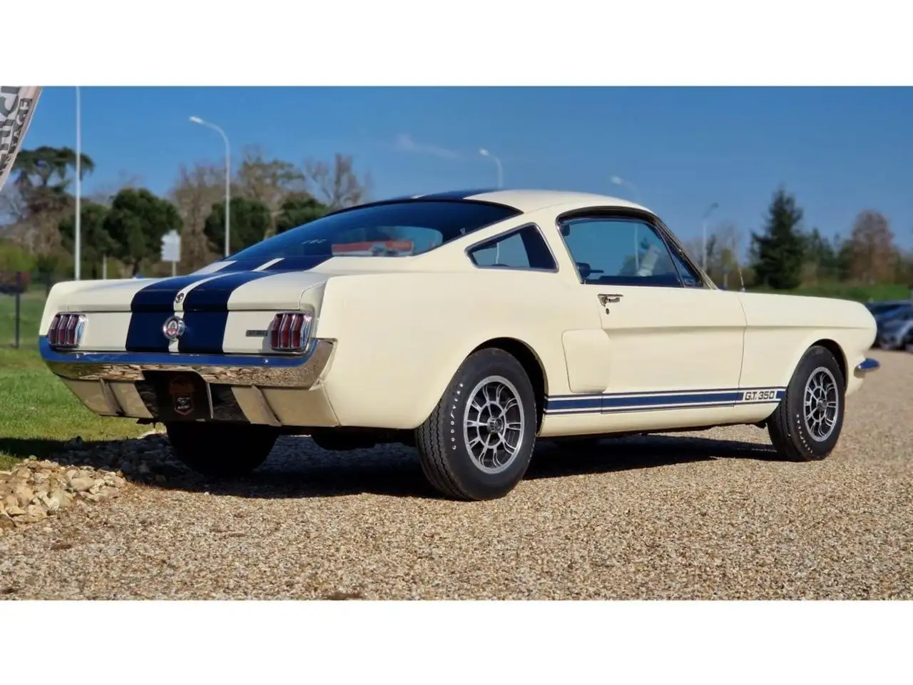 Ford Mustang GT350 FASTBACK, foto 2