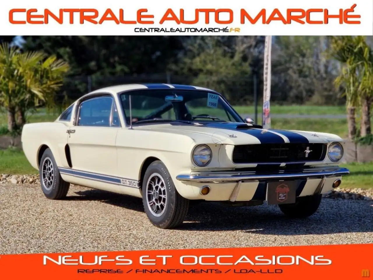Ford Mustang GT350 FASTBACK, foto 1