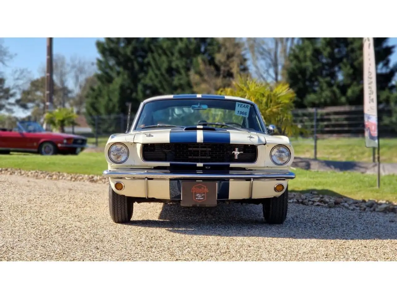 Ford Mustang GT350 FASTBACK, foto 3