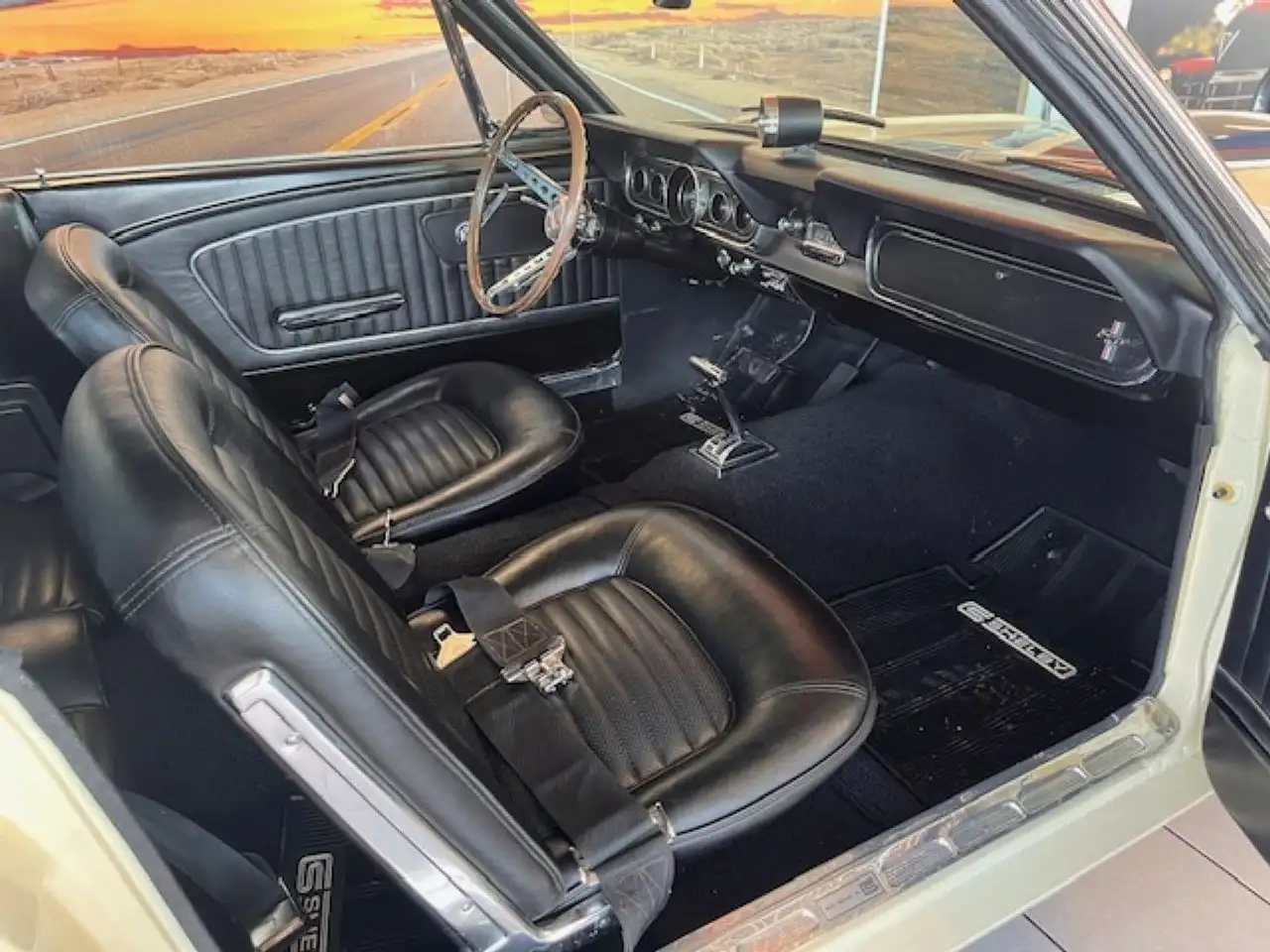 Ford Mustang GT350 FASTBACK, foto 10