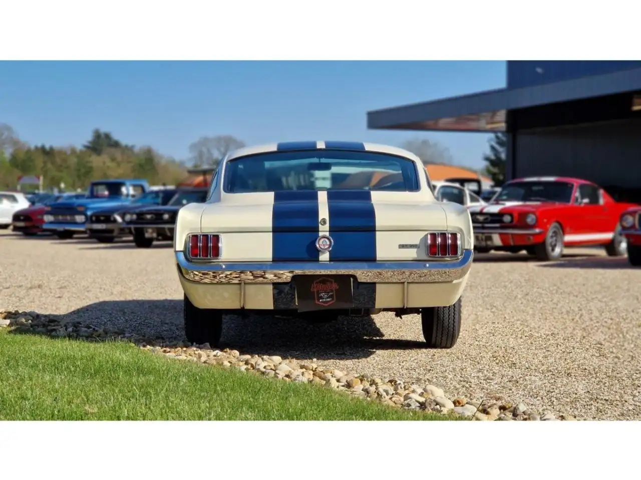 Ford Mustang GT350 FASTBACK, foto 4