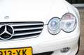 Mercedes-Benz SL 350 R230 Blanc - thumbnail 19