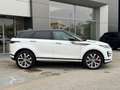 Land Rover Range Rover Evoque Evoque 2.0 D165 MHEV AWD Auto R-Dynamic SE | Appr Wit - thumbnail 7