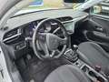 Opel Corsa F Elegance 1.2 Turbo, Android, PDC, Sitzheizung Weiß - thumbnail 8