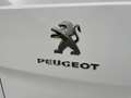 Peugeot Expert 2.0 HDI Euro 6 LWB 120 pk - thumbnail 21