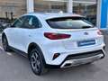 Kia XCeed 1 Wit - thumbnail 12