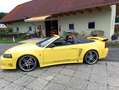 Ford Mustang Mustang GT Cabrio GT Gelb - thumbnail 13
