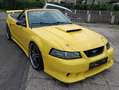 Ford Mustang Mustang GT Cabrio GT Gelb - thumbnail 2