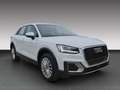 Audi Q2 35 TFSI design 1.5 / 8 Fach bereift Blanc - thumbnail 4