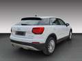Audi Q2 35 TFSI design 1.5 / 8 Fach bereift Blanc - thumbnail 6