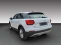 Audi Q2 35 TFSI design 1.5 / 8 Fach bereift Blanc - thumbnail 3
