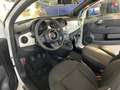 Fiat 500 1.0 70cv hybrid Dolcevita Bianco - thumbnail 8