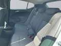 Opel Astra 1.0T 120 Jahre +Sitzh. +Klima +Lenkradh. Weiß - thumbnail 13