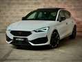 CUPRA Leon 2.0 TSI VZ CUP DSG 221Kw Blanco - thumbnail 12