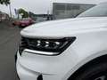 Kia Sorento HEV 4WD AT6 PACE Blanc - thumbnail 13