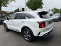 Kia Sorento HEV 4WD AT6 PACE Blanc - thumbnail 4