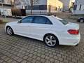 Mercedes-Benz E 400 E 400 4Matic 7G-TRONIC Avantgarde Blanc - thumbnail 5