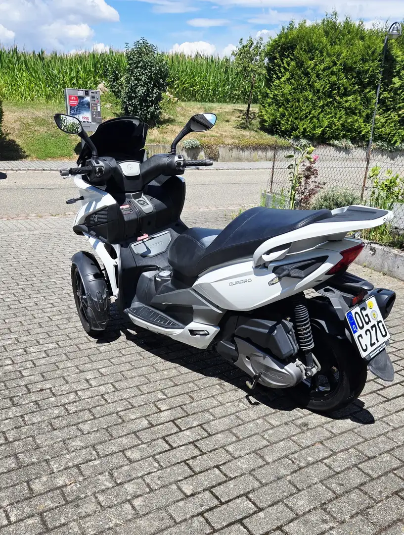 Quadro 350S Blanc - 1
