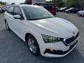 Skoda Scala 1.0 TSI *COOL-PLUS*AHK-VORB*PDCHI*SHZ*SMAR Weiß - thumbnail 1