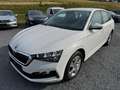 Skoda Scala 1.0 TSI *COOL-PLUS*AHK-VORB*PDCHI*SHZ*SMAR Weiß - thumbnail 3