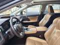 Lexus RX 450h RX 450h Executive Executive Negru - thumbnail 14