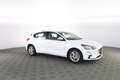 Ford Focus 1.5 EcoBlue 120 CV 5p. ST Line Bianco - thumbnail 2